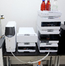 액체크로마토그래피 단백질분석(HPLC-ELSD)